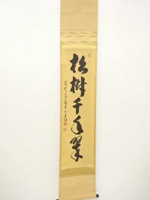JAPANESE COLLECTIBLE / PINE TREE THOUSAND YEAR GREEN